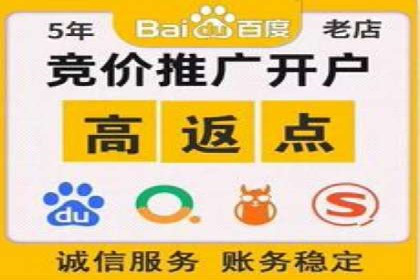 行业领先企业的SEM优化之路